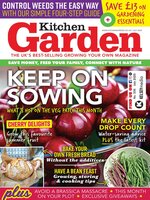 Kitchen Garden